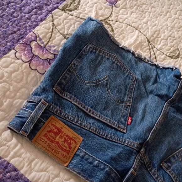 Vintage Y2K 501 Daisy Dukes Mini Shorts Women's Distressed Retro Booty 30 10